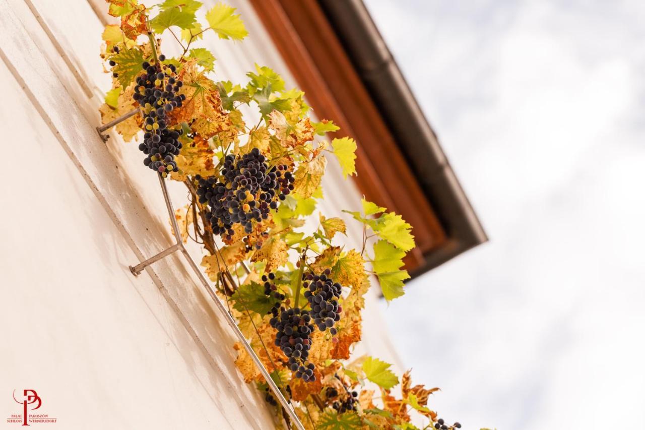 ילנייה גורה Palac Pakoszow Schlosshotel Wernersdorf מראה חיצוני תמונה Vineyards in the village of Saint-André-de-Valzach